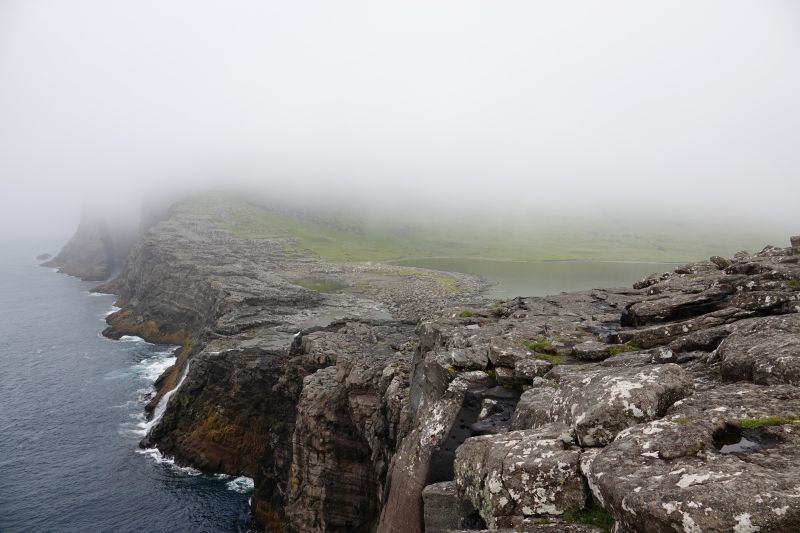 Viewing photos→2021→2021-08-04→16