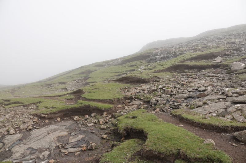 Viewing photos→2021→2021-08-04→19