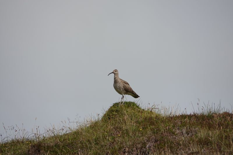 Viewing photos→2021→2021-08-04→25