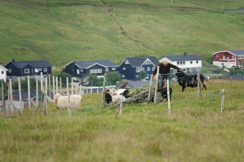 Viewing photos→2021→2021-08-04→27