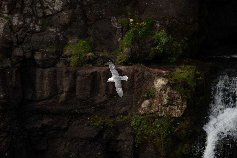 Viewing photos→2021→2021-08-04→37