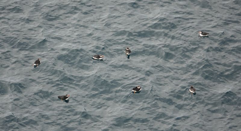 Viewing photos→2021→2021-08-04→38