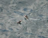 43.jpeg - 2021:08:04 14:48:10