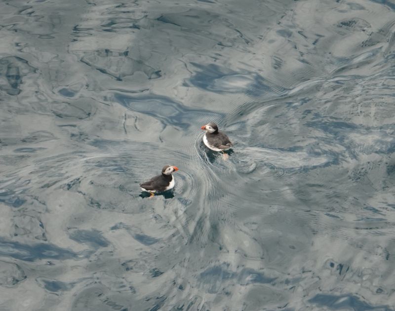 Viewing photos→2021→2021-08-04→43