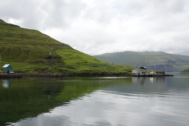 Viewing photos→2021→2021-08-05→006