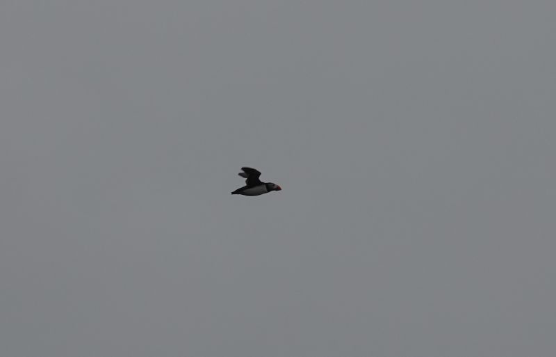 Viewing photos→2021→2021-08-05→024