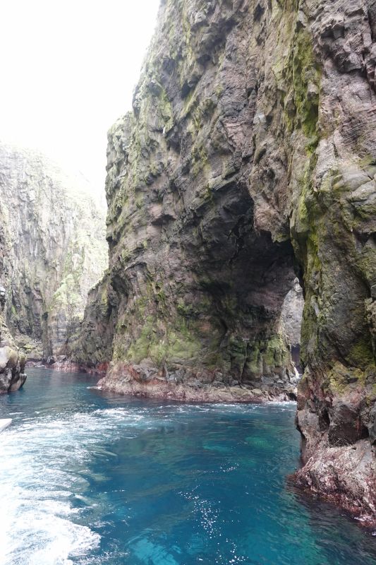 Viewing photos→2021→2021-08-05→030