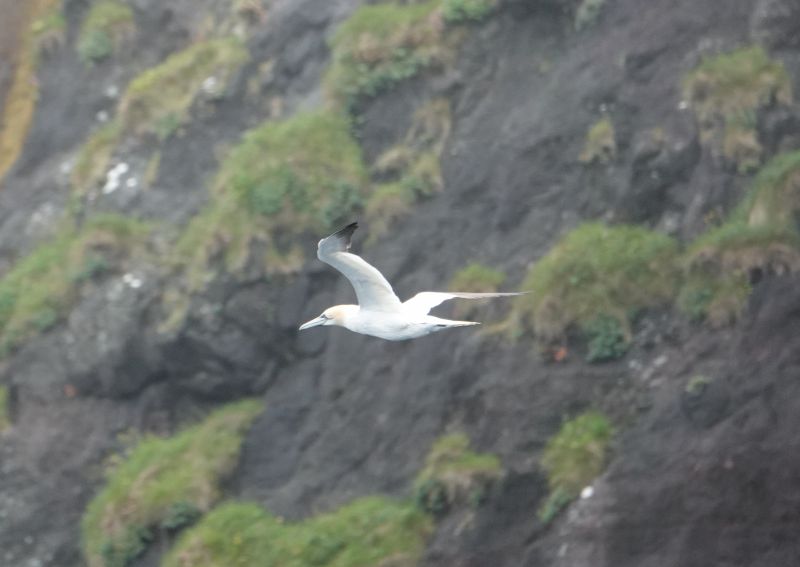 Viewing photos→2021→2021-08-05→033