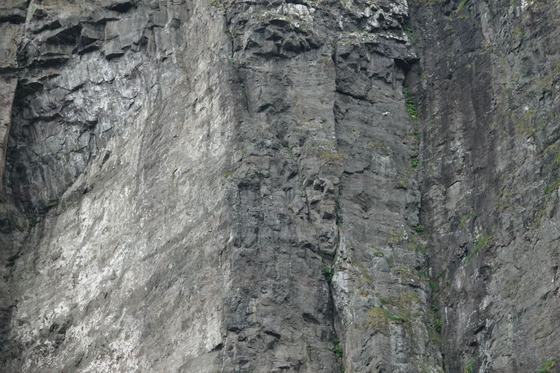 Viewing photos→2021→2021-08-05→051