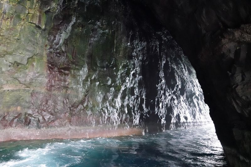 Viewing photos→2021→2021-08-05→056