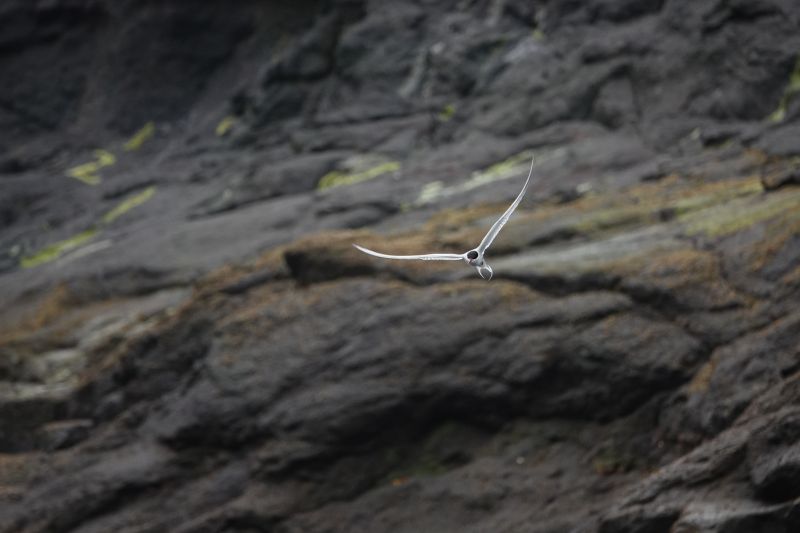 Viewing photos→2021→2021-08-05→060