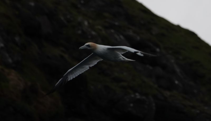 Viewing photos→2021→2021-08-05→069