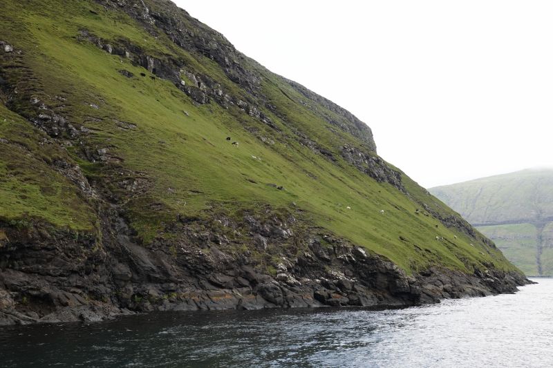 Viewing photos→2021→2021-08-05→071