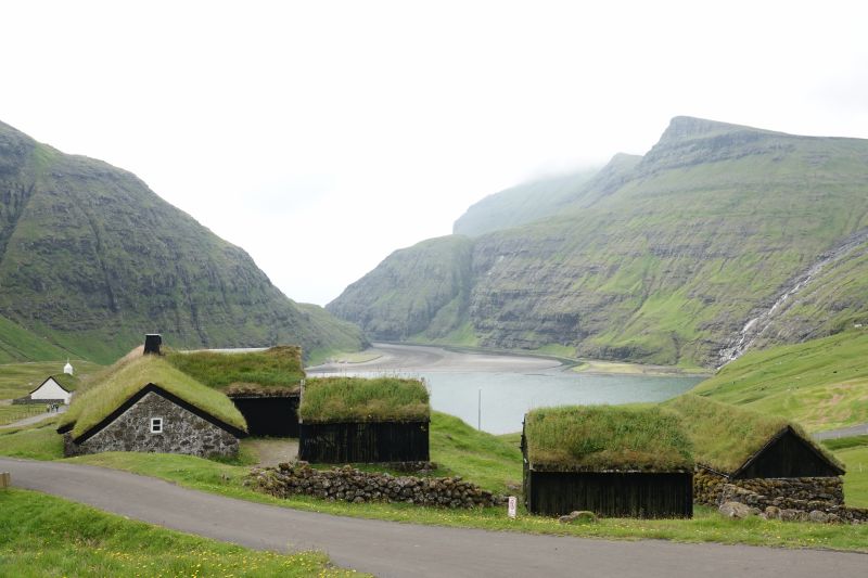 Viewing photos→2021→2021-08-05→081