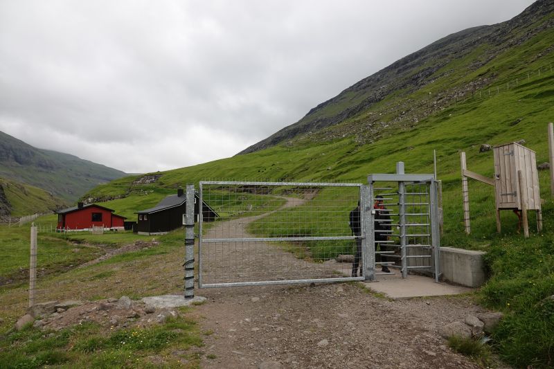 Viewing photos→2021→2021-08-05→089