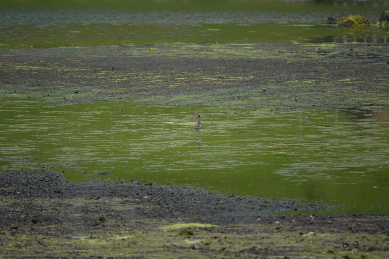 Viewing photos→2021→2021-08-05→092