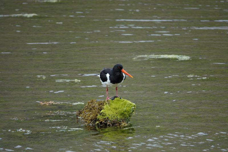 Viewing photos→2021→2021-08-05→095