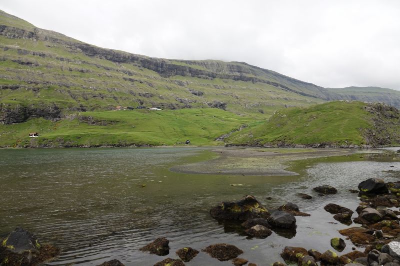 Viewing photos→2021→2021-08-05→096