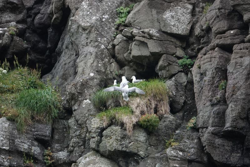 Viewing photos→2021→2021-08-05→103