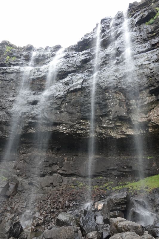 Viewing photos→2021→2021-08-05→112