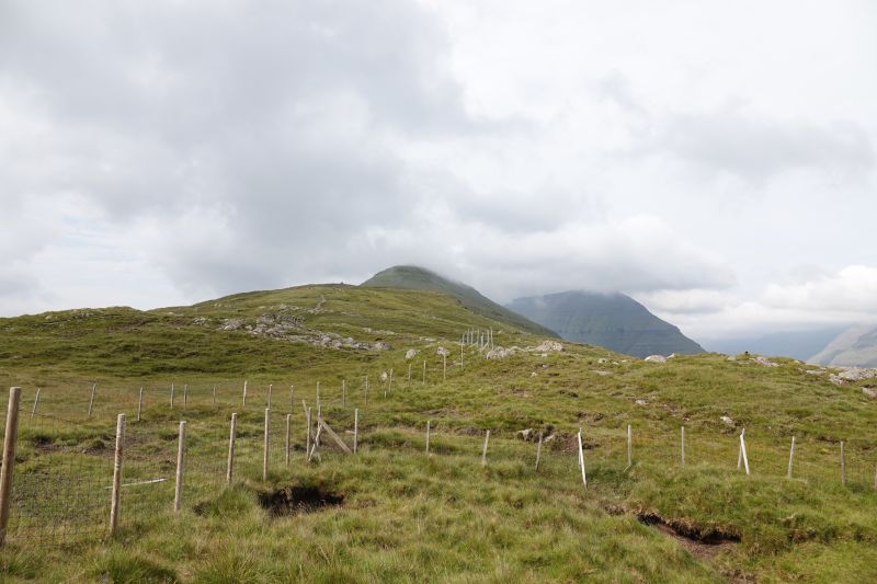 Viewing photos→2021→2021-08-06→24