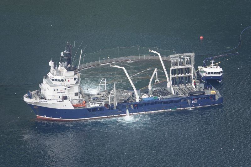 Viewing photos→2021→2021-08-06→37