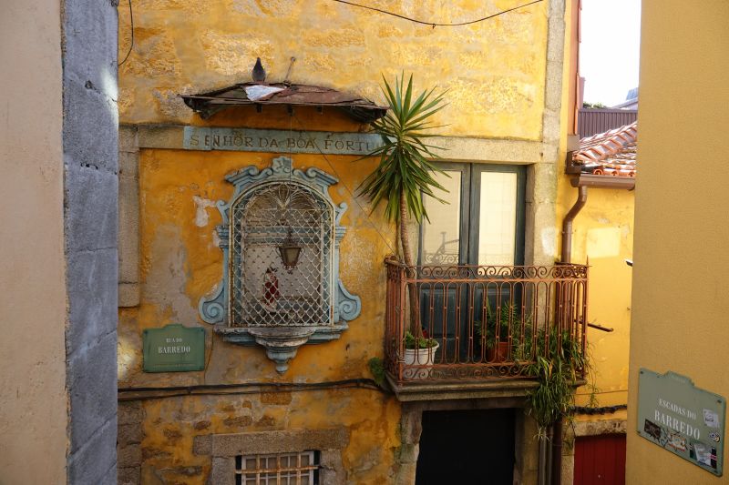 Viewing photos→2021→2021-11-07→19