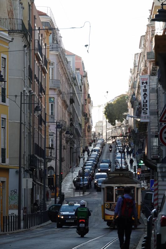 Viewing photos→2021→2021-11-09→05