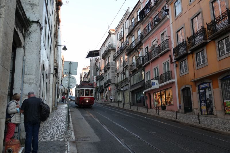 Viewing photos→2021→2021-11-09→08