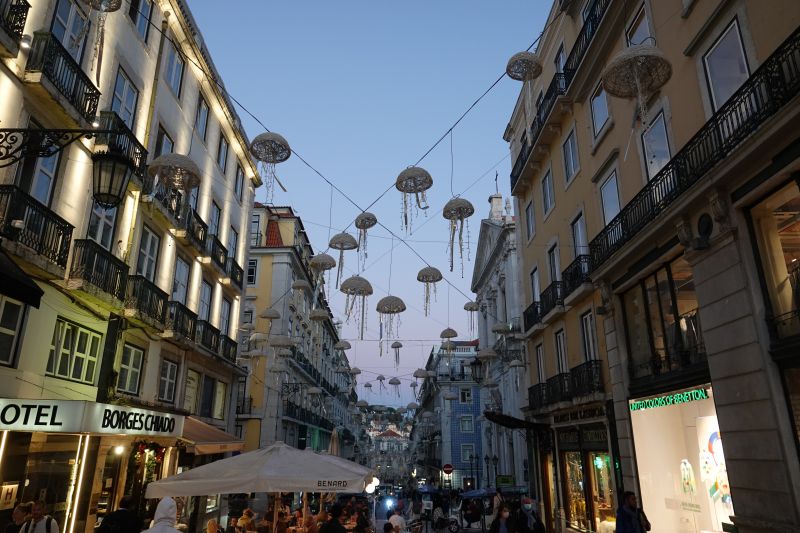 Viewing photos→2021→2021-11-09→09