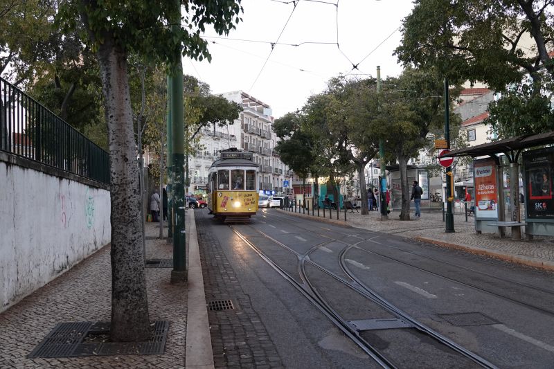 Viewing photos→2021→2021-11-09→25