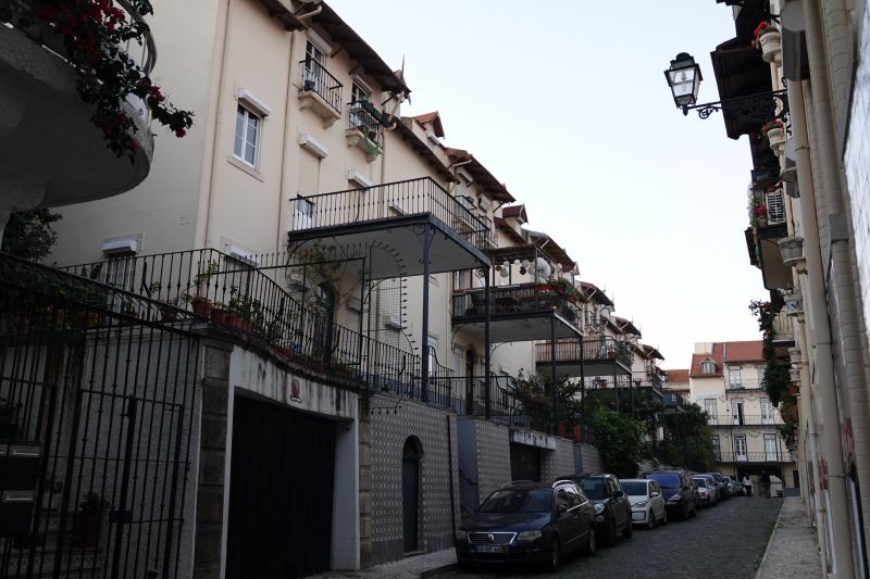 Viewing photos→2021→2021-11-09→26