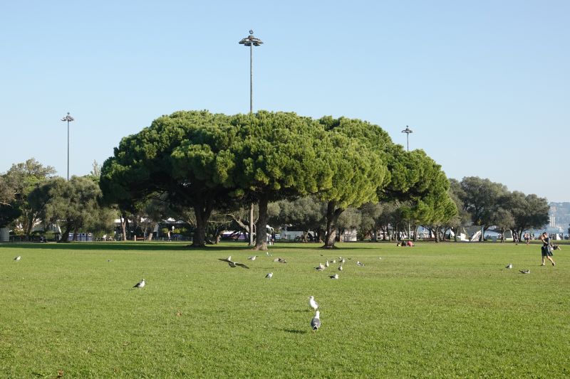 Viewing photos→2021→2021-11-09→40