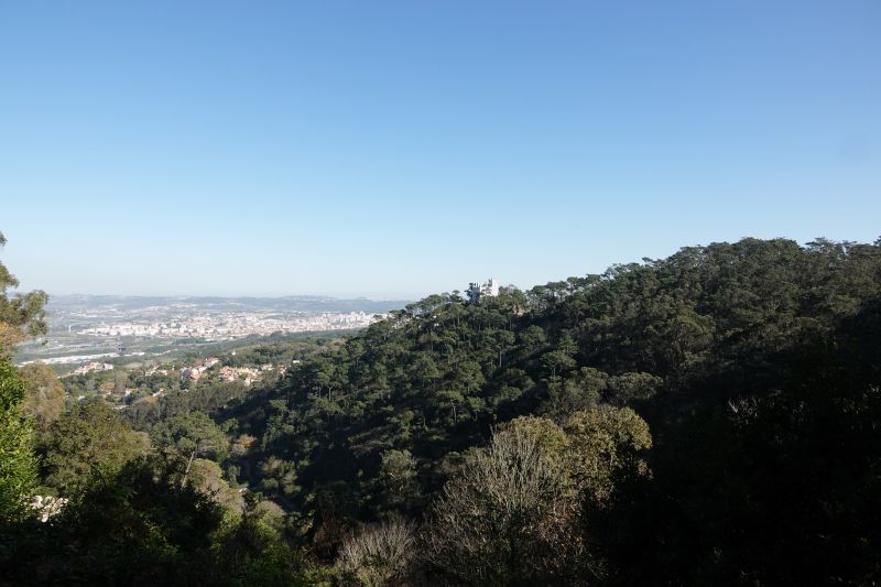 Viewing photos→2021→2021-11-10→01