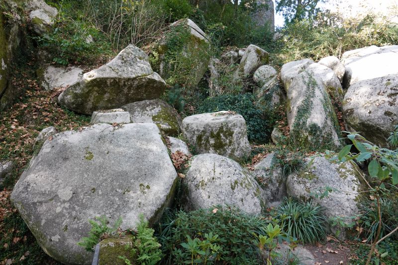 Viewing photos→2021→2021-11-10→02