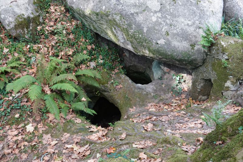 Viewing photos→2021→2021-11-10→03