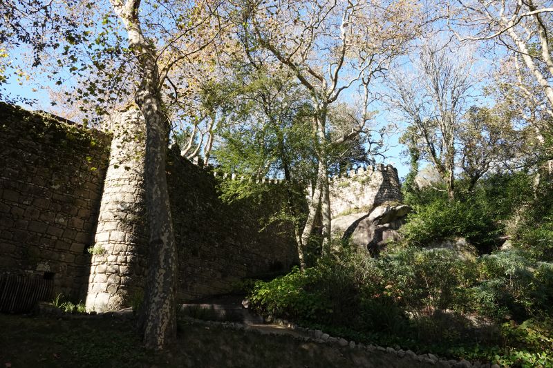 Viewing photos→2021→2021-11-10→05