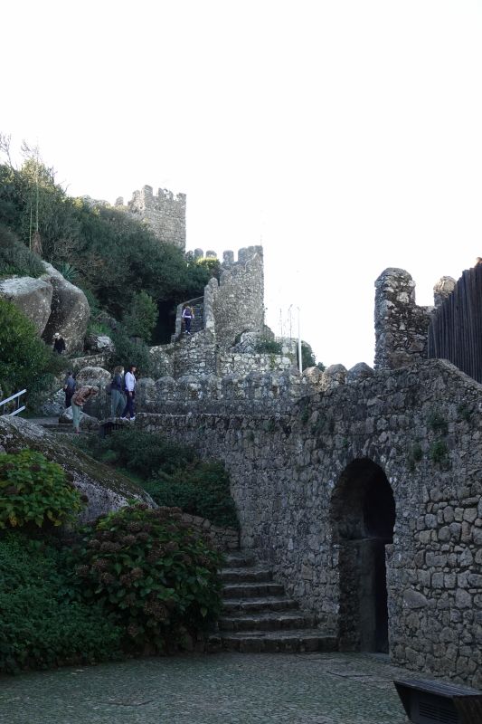 Viewing photos→2021→2021-11-10→07