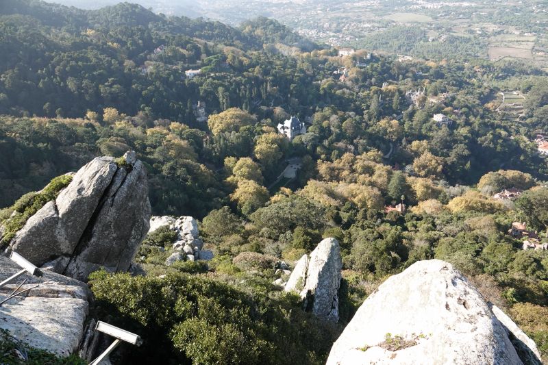 Viewing photos→2021→2021-11-10→11