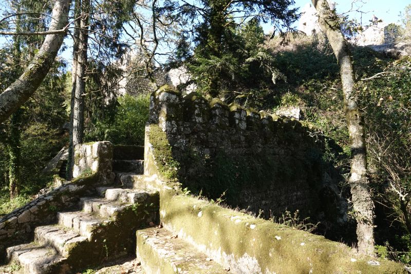 Viewing photos→2021→2021-11-10→18