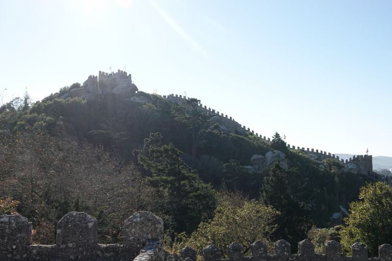 Viewing photos→2021→2021-11-10→19