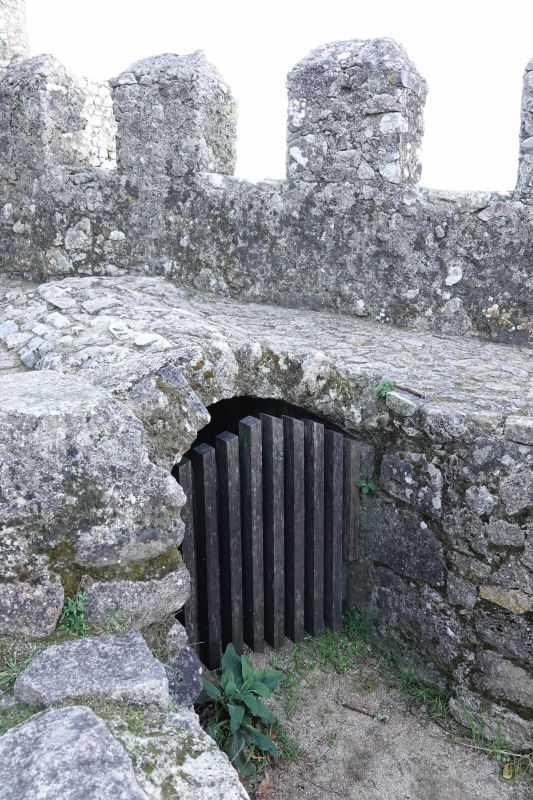 Viewing photos→2021→2021-11-10→22