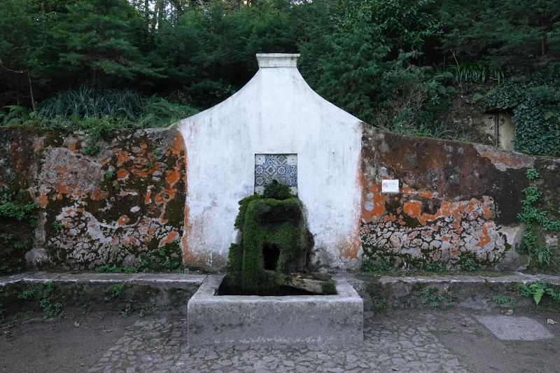 Viewing photos→2021→2021-11-10→25