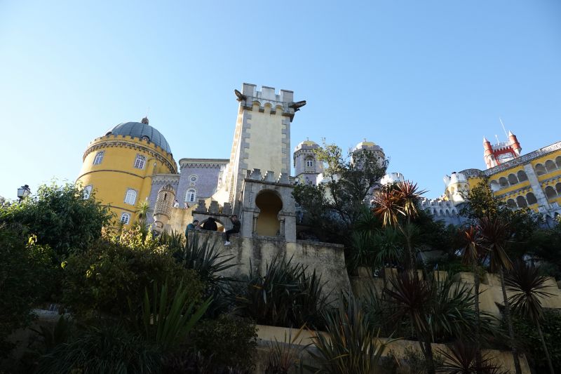 Viewing photos→2021→2021-11-10→26