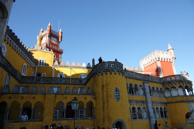 Viewing photos→2021→2021-11-10→33