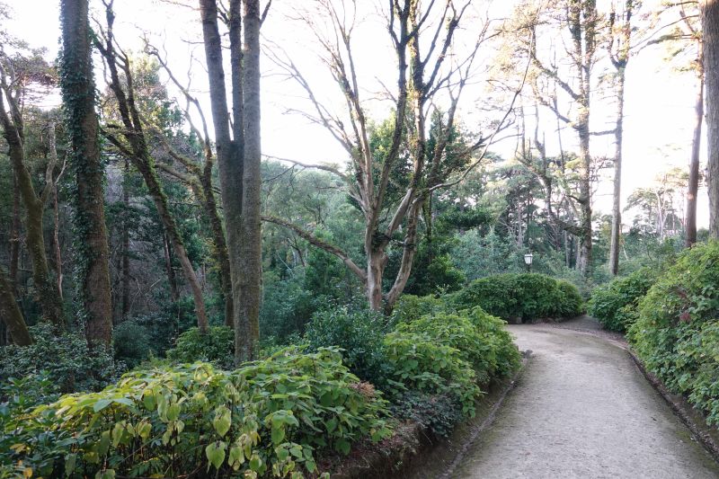 Viewing photos→2021→2021-11-10→45