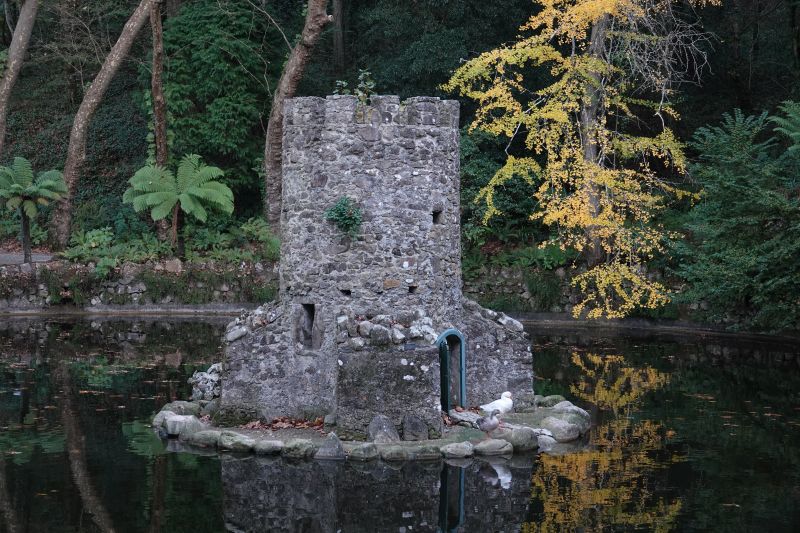 Viewing photos→2021→2021-11-10→47