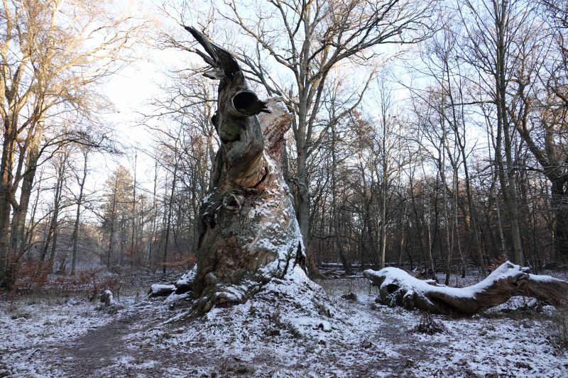 Viewing photos→2021→2021-12-27→08