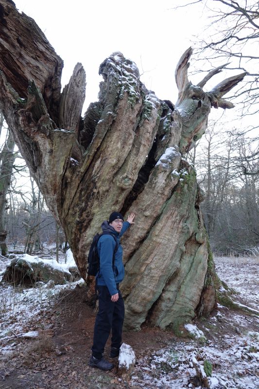 Viewing photos→2021→2021-12-27→09