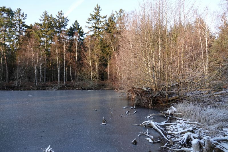 Viewing photos→2021→2021-12-27→11